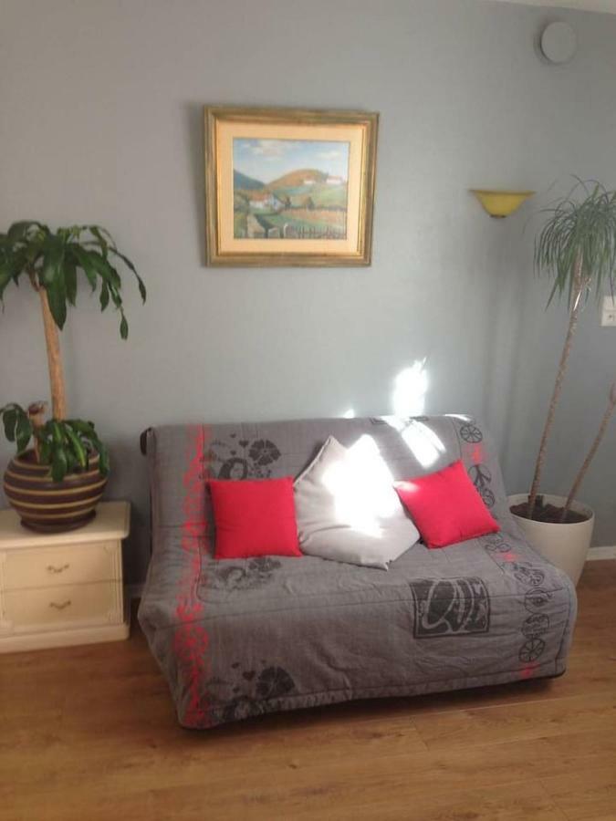 Petit appartement douillet très bien situé Biarritz Esterno foto